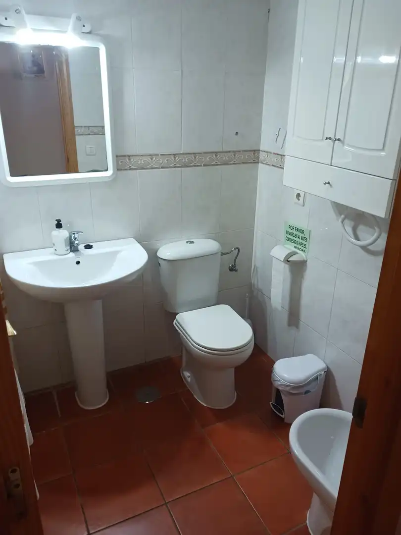 Apartments for rent in Carretera del Molino Viejo, Los Gallos
