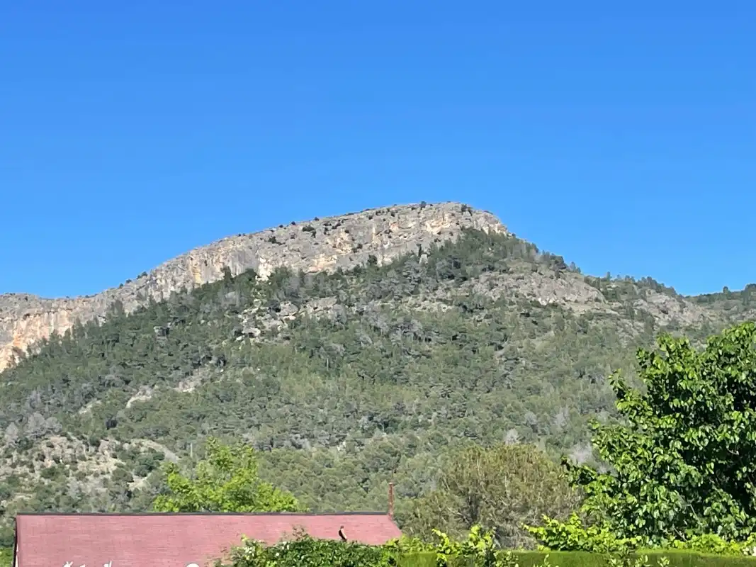 Terrain rustique à vendre à Partida Bases 254, imagen 30