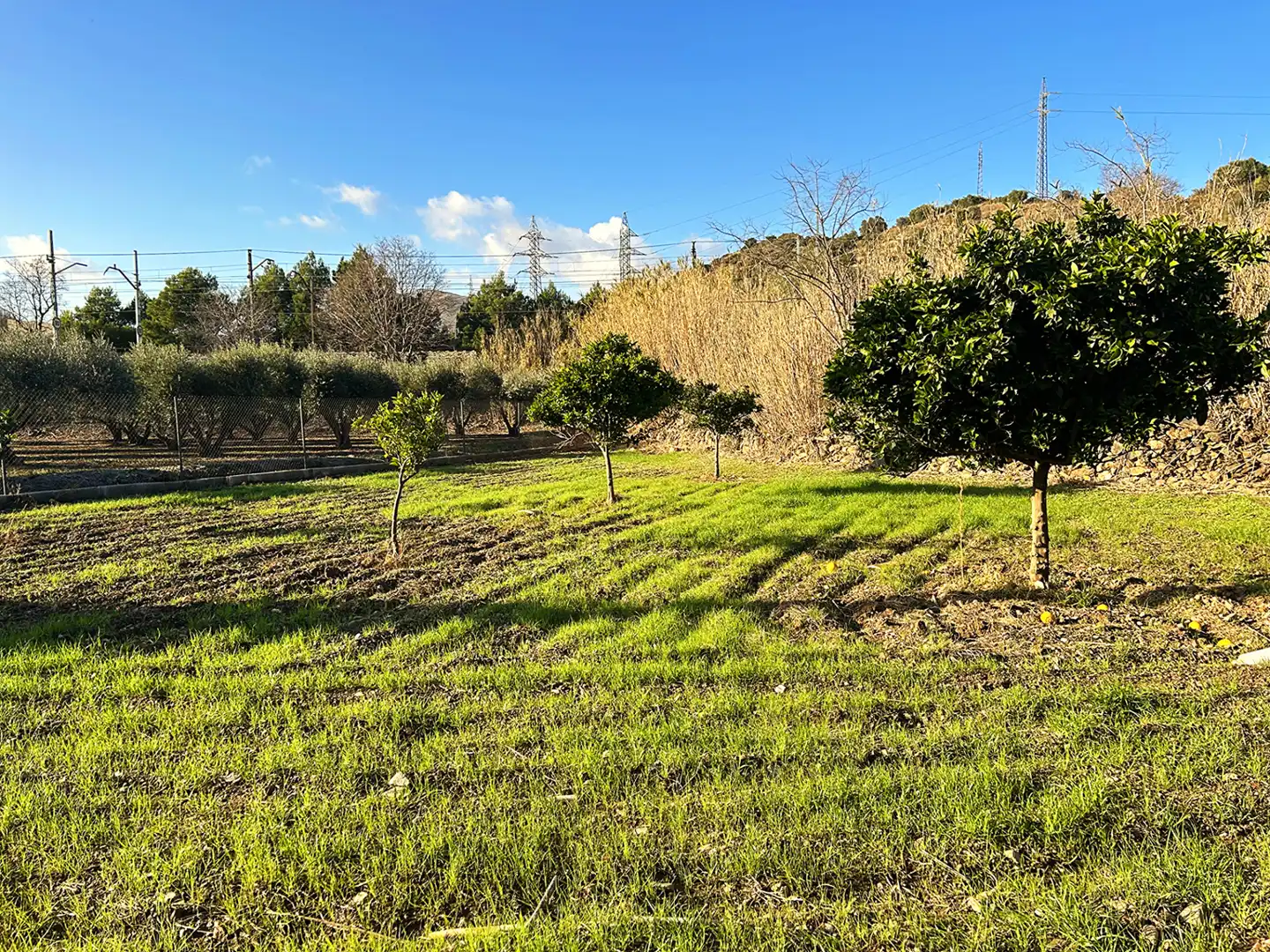 Terreny rústic en venda a La Vila, imagen 5