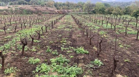 Foto 4 de Finca rústica en venta en Valle de Lecrin, El Valle, Granada