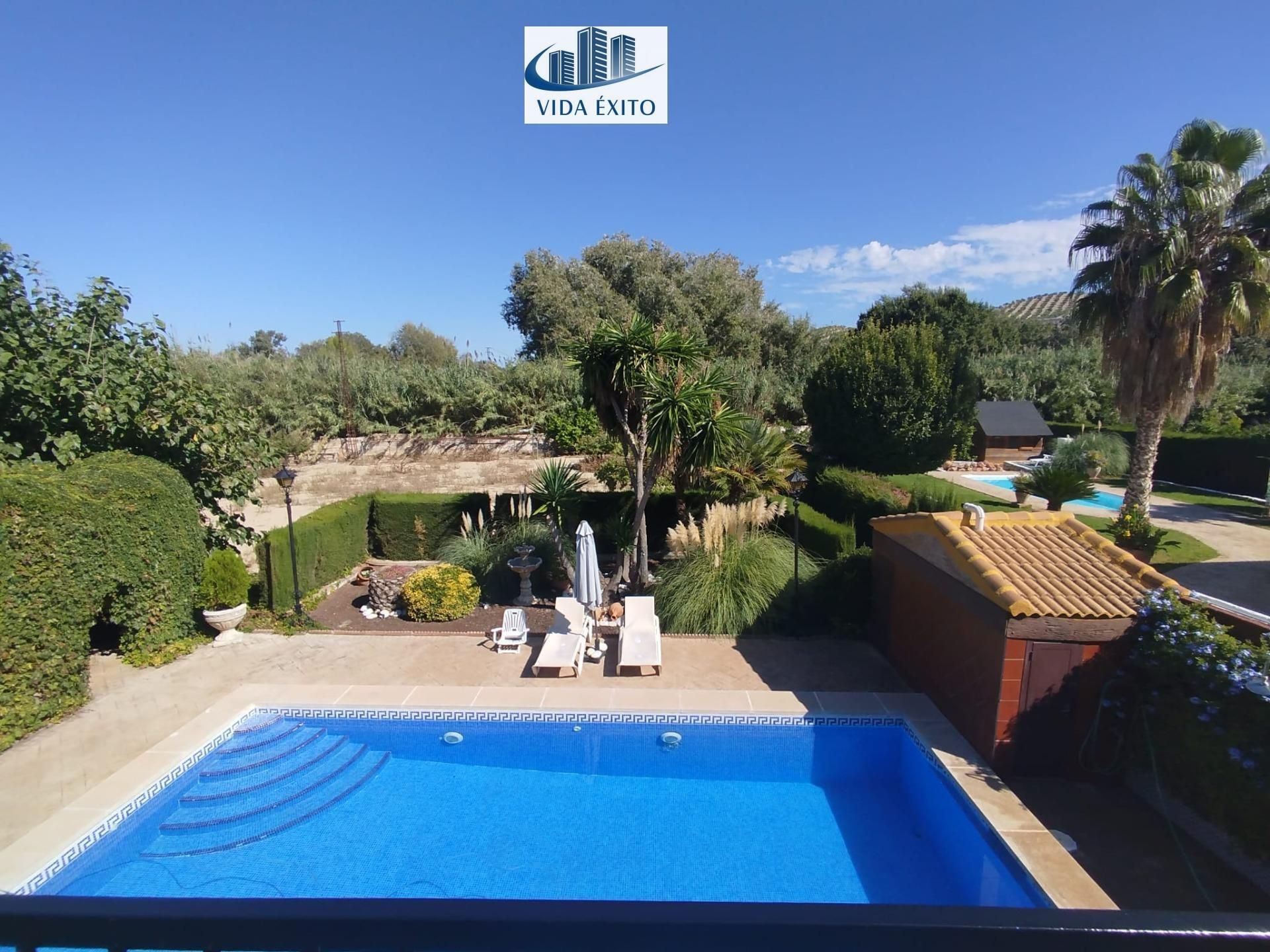 Swimming pool of House or chalet for sale in  Jaén Capital  with Air Conditioner, Heating and Terrace
