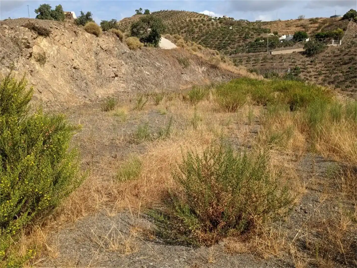 Finca rústica en venda en Almáchar