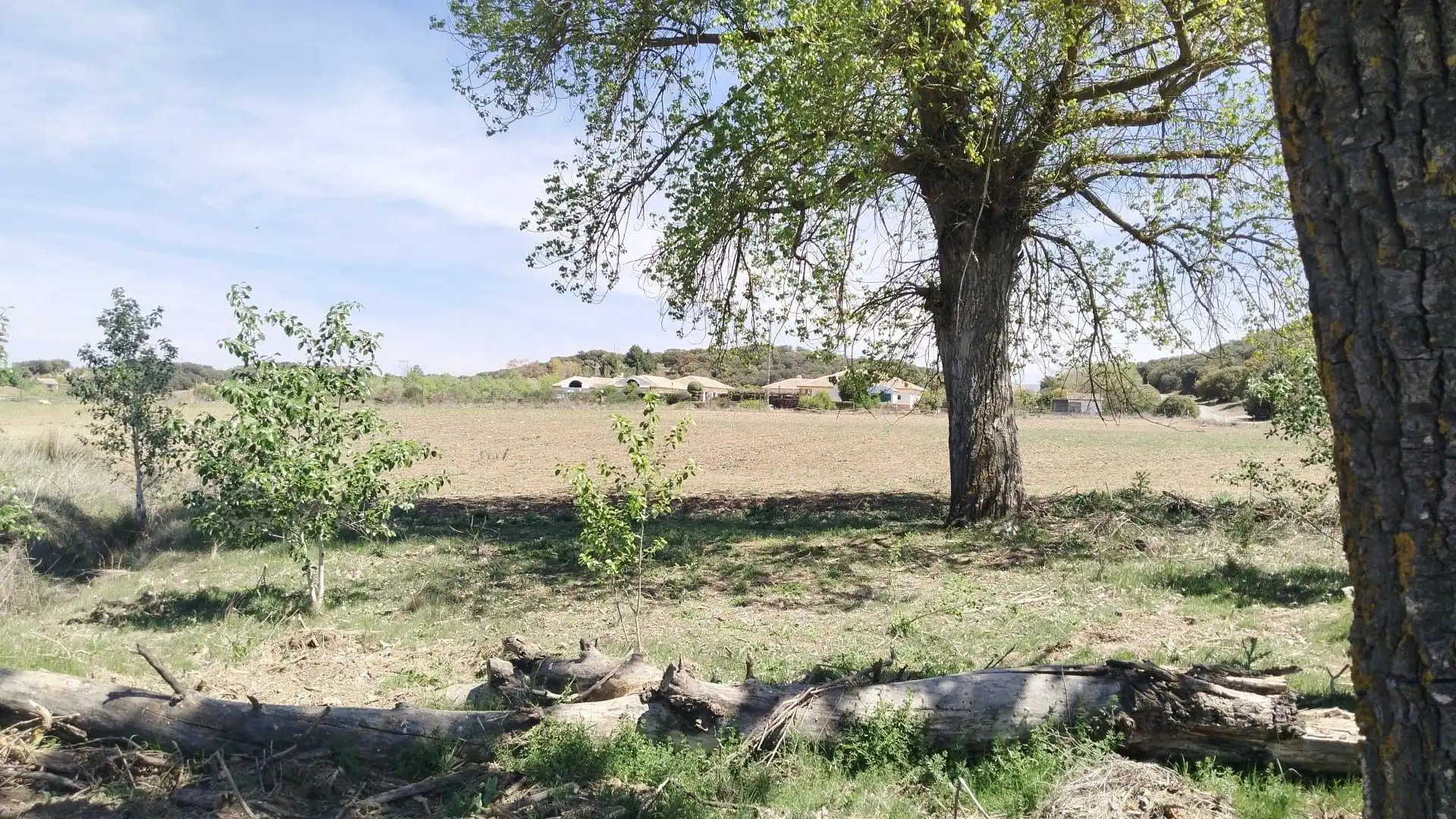 Terrenys i solars en venda a Archidona, imagen 7
