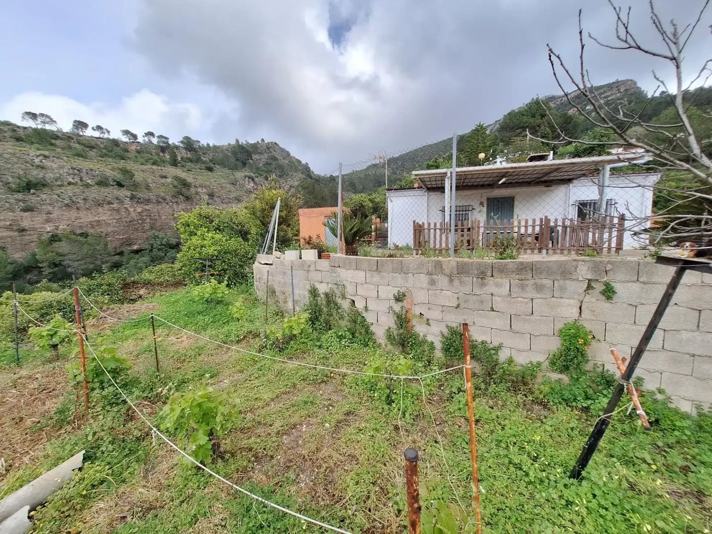 Houses for sale in Urbanitzacions i Pedanies Nord