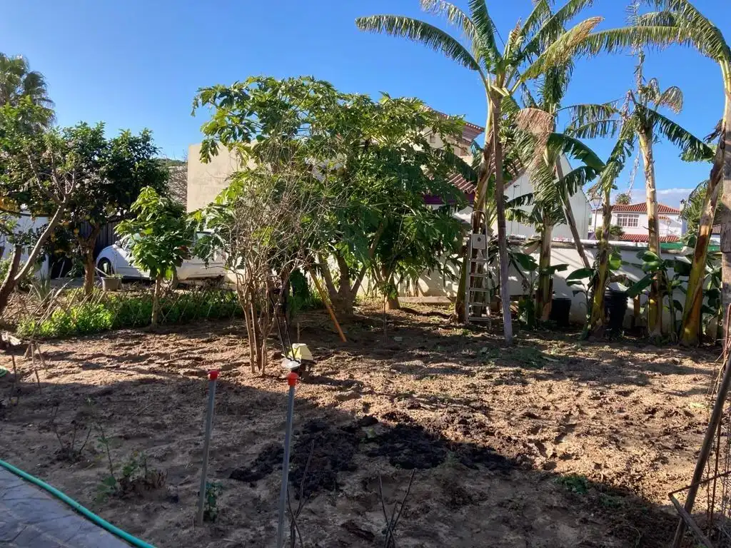 Chalet con jardín en venta en Medina Sidonia, imagen 44