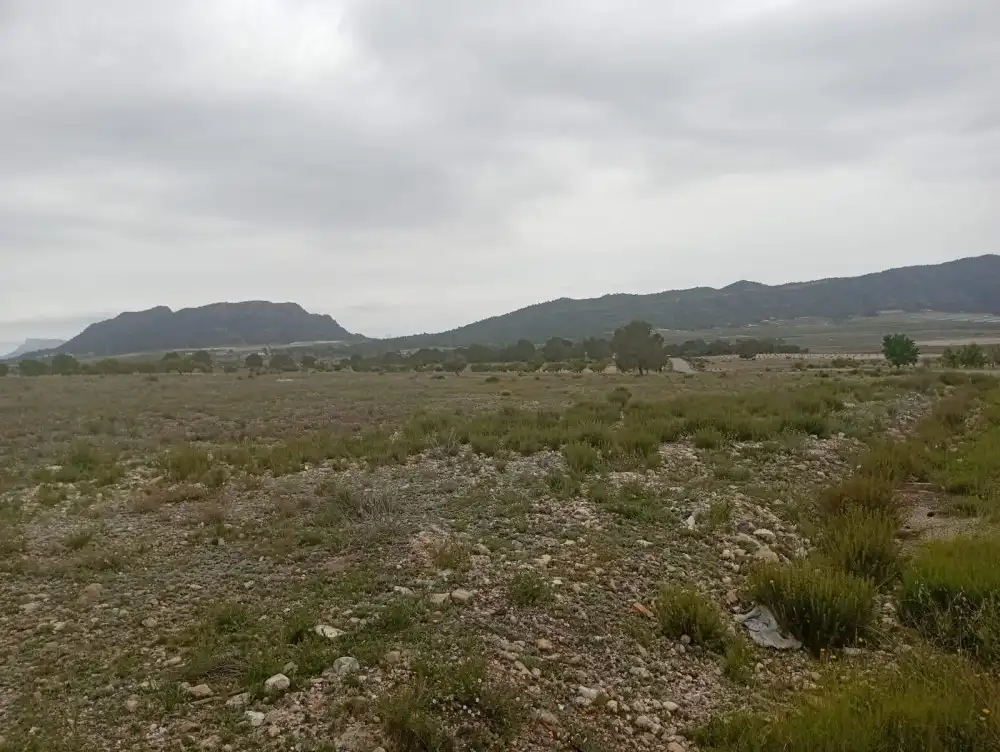 Residential land for sale in Salinas, imagen 5