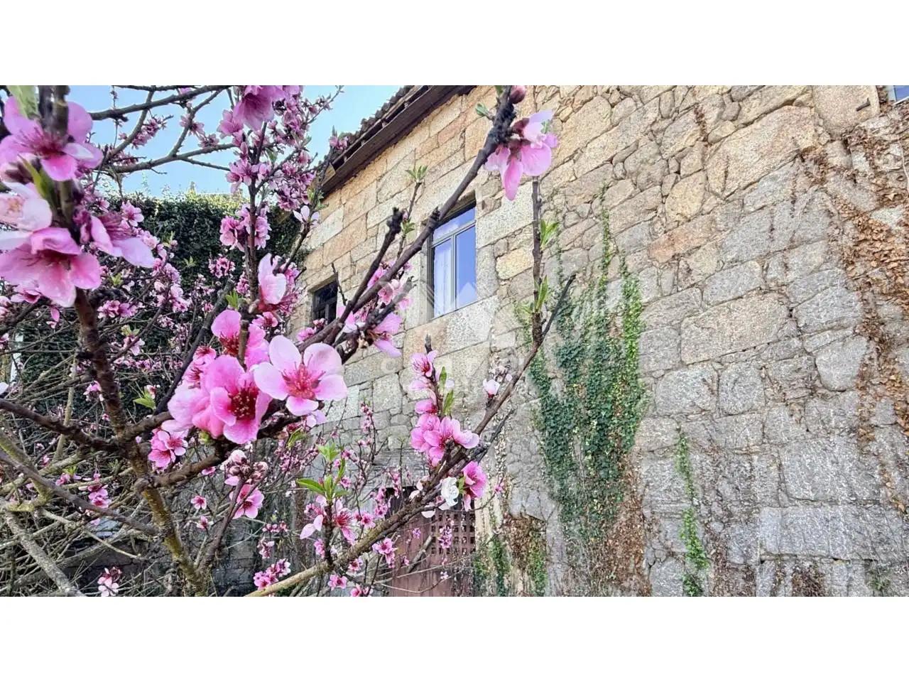 Garden of Houses for sale in Ourense Capital   with Private garden and Terrace