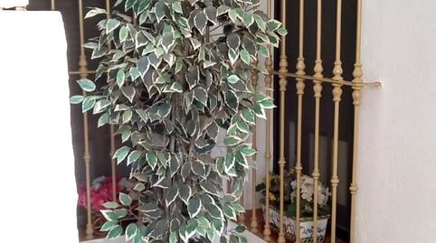 Photo 5 of House or chalet for sale in Villaverde del Río, Sevilla