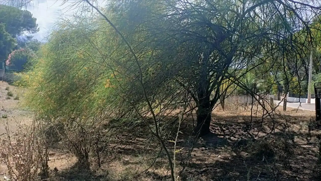 Residencial en venda a Cm Campamento, Cerro Muriano