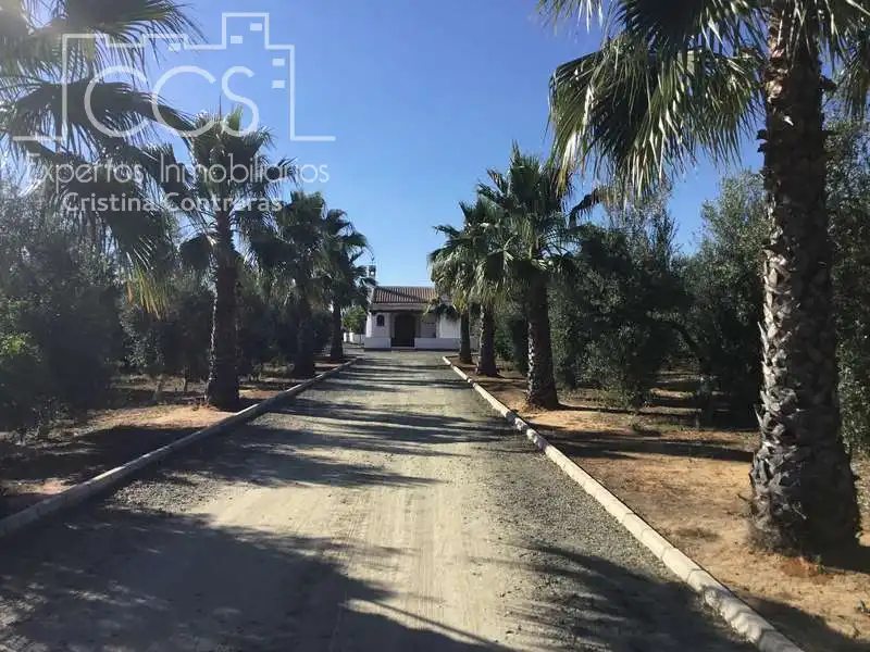 Casa rústica amb piscina en venda a Pilas, imagen 7