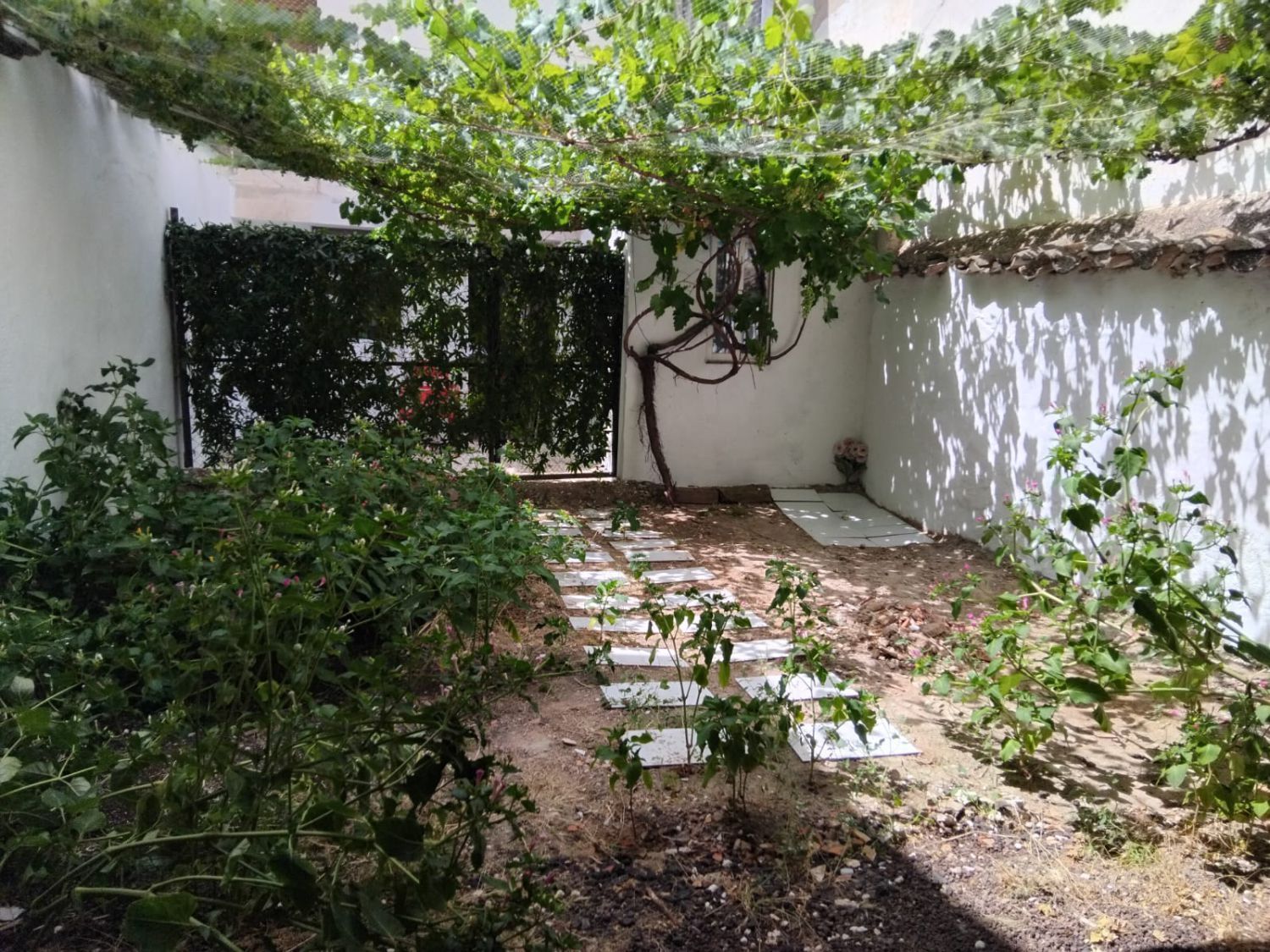 Jardín de Casa o chalet en venta en Valdepeñas con Aire acondicionado, Jardín privado y Terraza