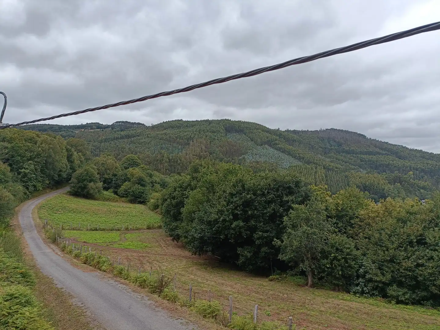 Terreno residenziale in vendita a Cesuras, imagen 3