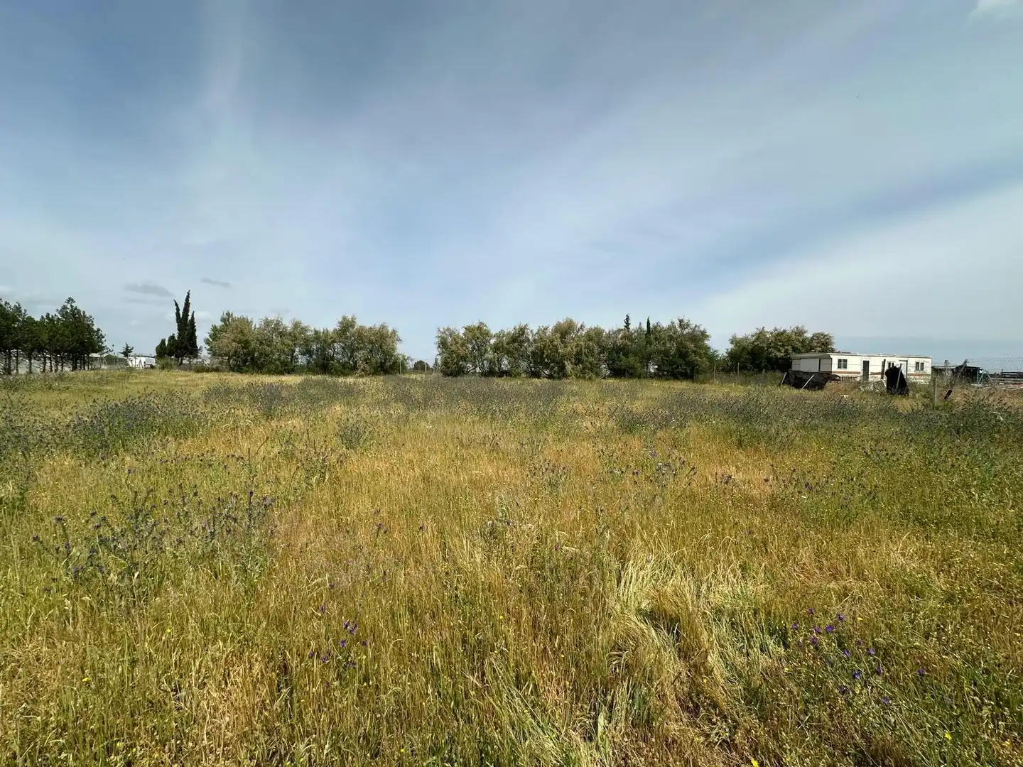 Land for sale in Utrera