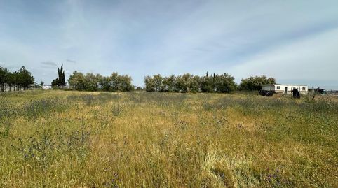 Photo 2 of Land for sale in Las Torres - Constelaciones, Utrera