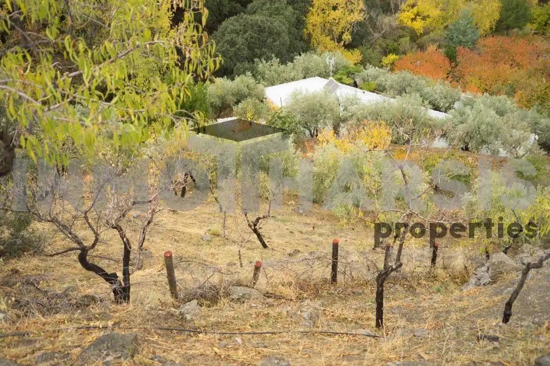 Casa o xalet en venda en Abrucena amb Jardí privat, Terrassa i Moblat