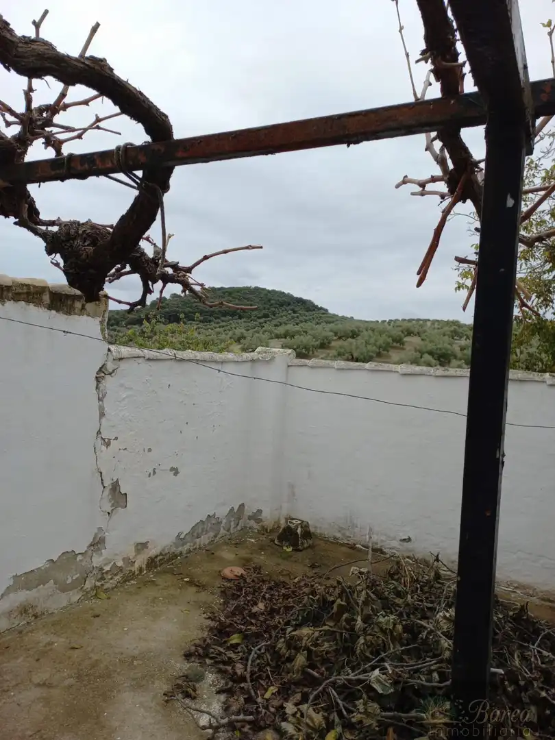 Casa en venta en Rute, imagen 5