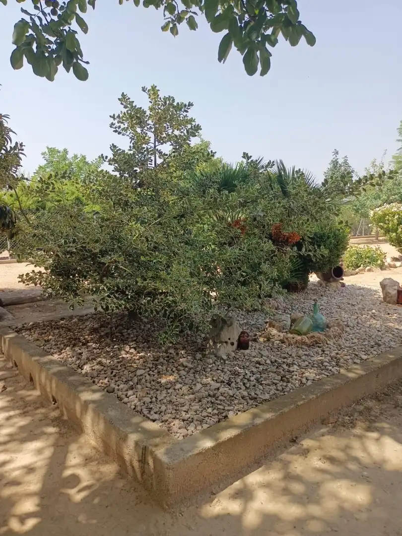 Finca rústica en venta en Tortosa