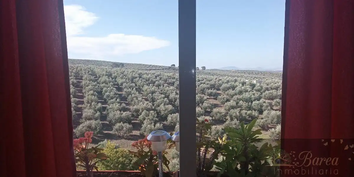 Jardí de Dúplex en venda en Rute amb Terrassa i Moblat