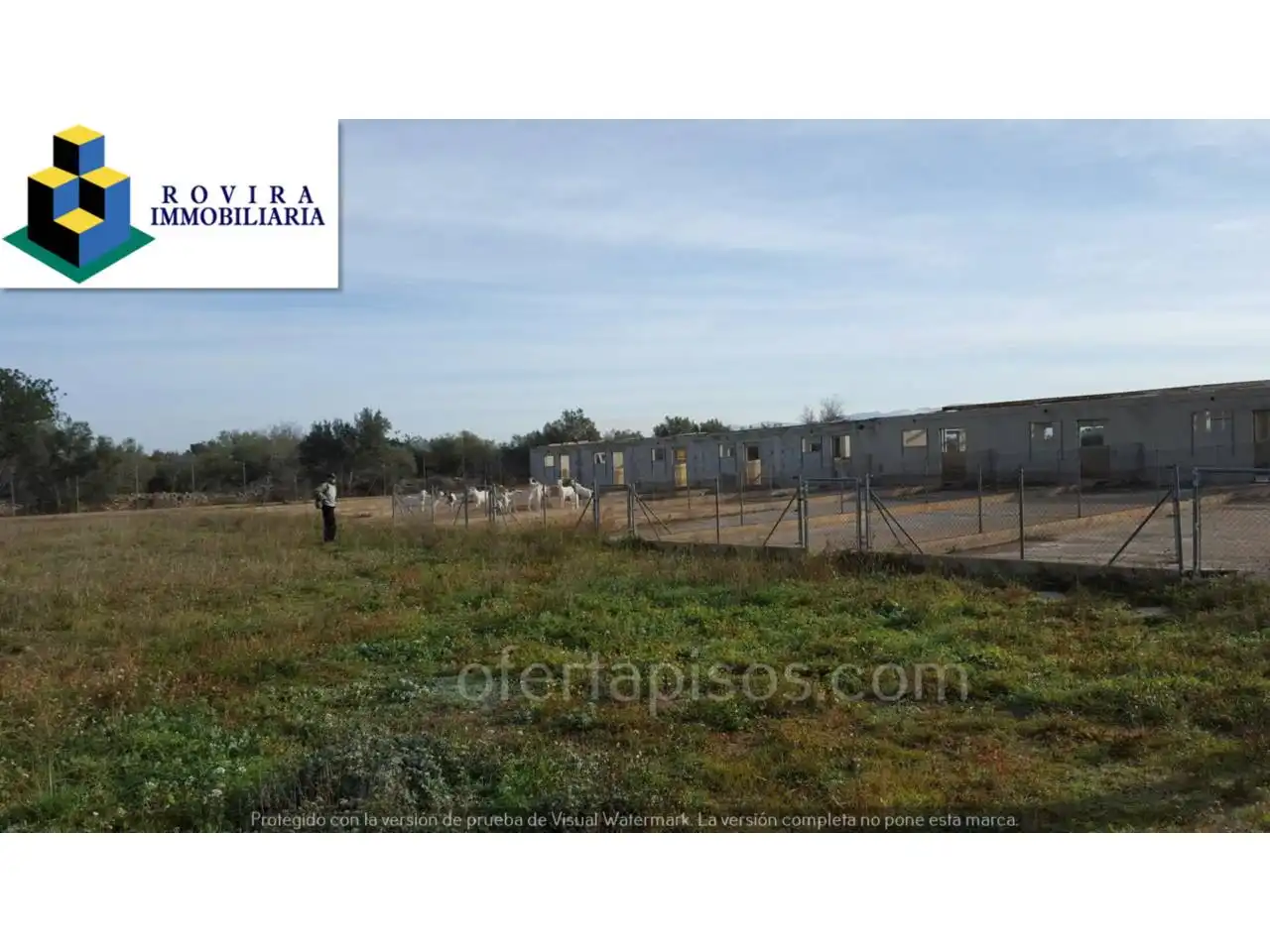 Rural land for sale in Calle COVETA DELS GATS, imagen 6