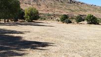 Land for sale in Zarzalejo