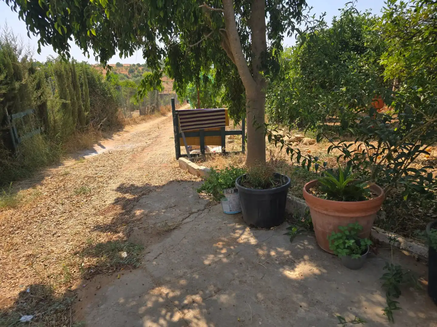 Chalet en venta en Nueva Alcalá, imagen 11