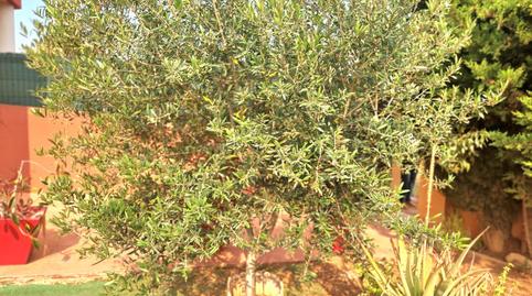 Foto 5 de Casa o xalet en venda a Los Urrutias, Murcia