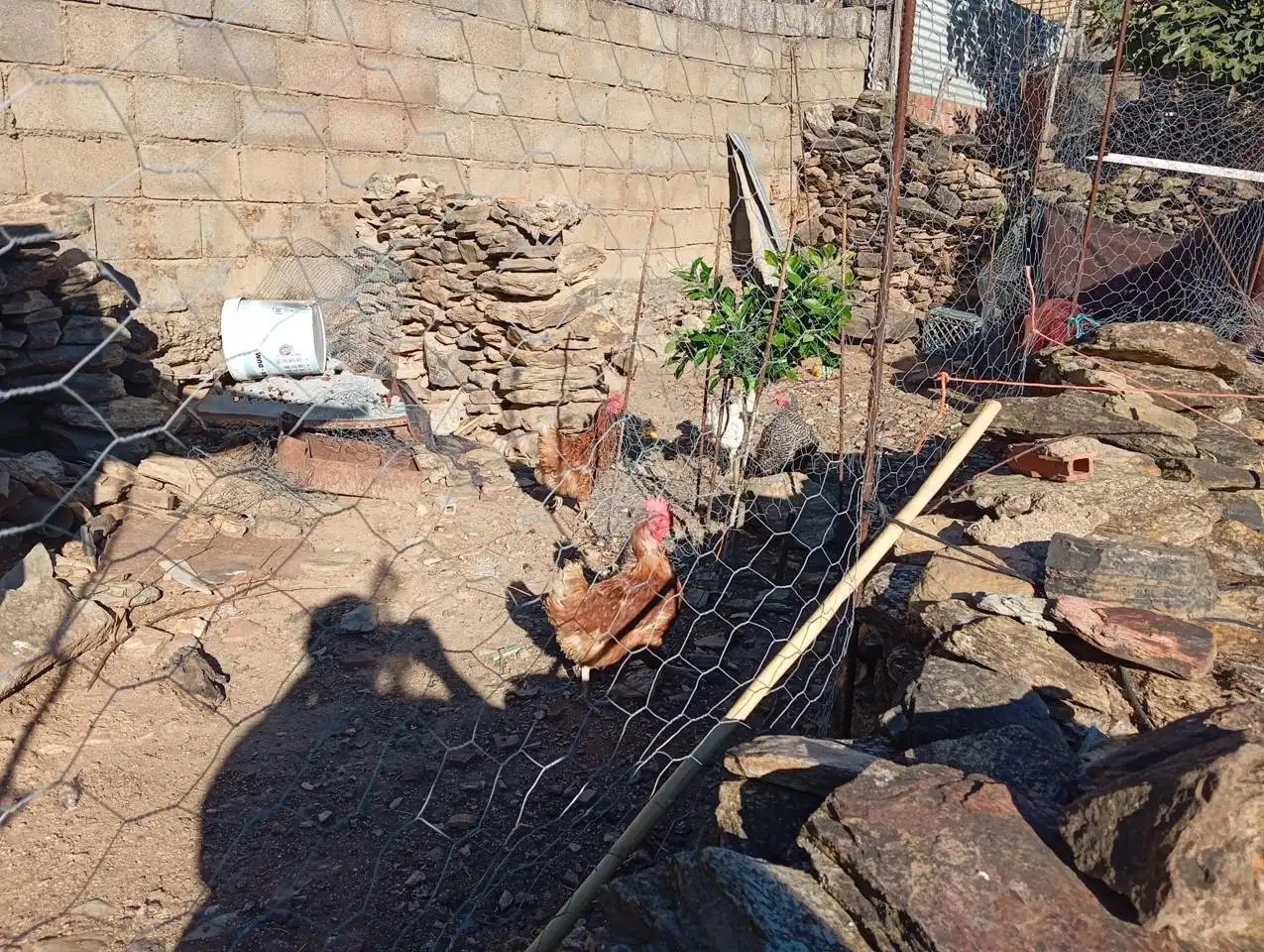 Jardí de Casa adosada en venda en Zahínos