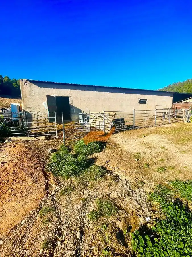 Nave industrial en venta en Vélez-Rubio