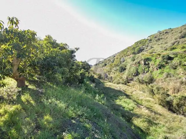 Terreni e lotti in vendita a Torrox Pueblo, imagen 5