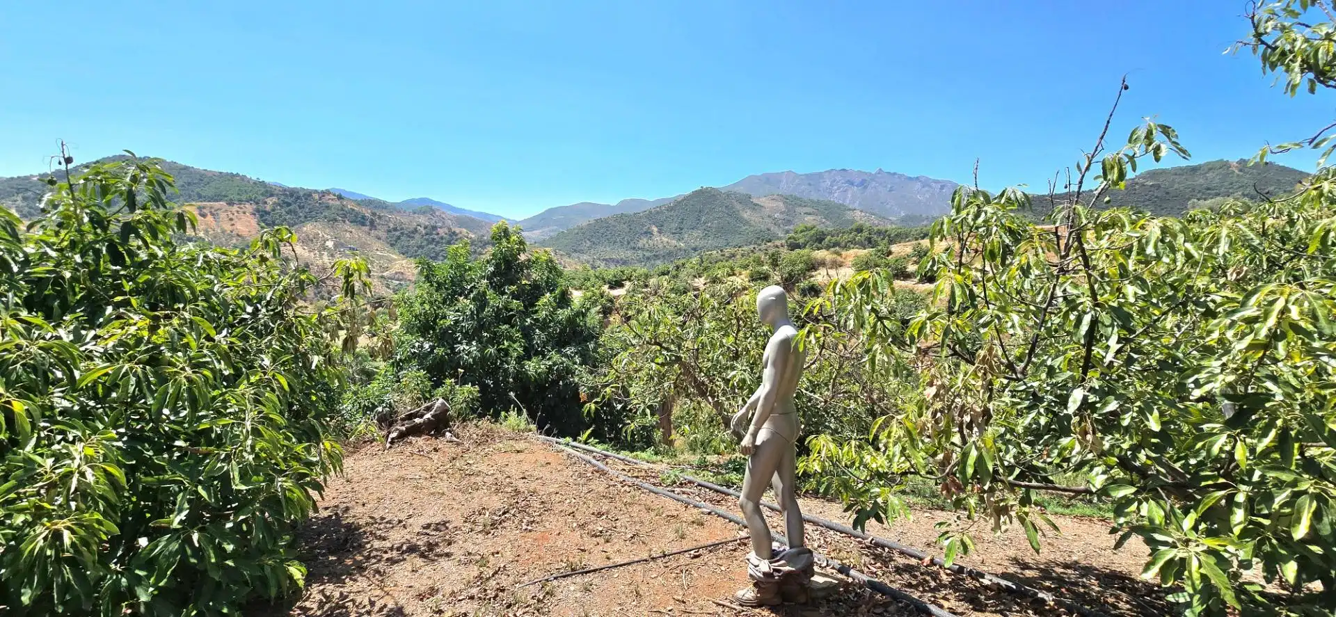 Jardí de Casa o xalet en venda en Guaro amb Aire condicionat, Jardí privat i Moblat