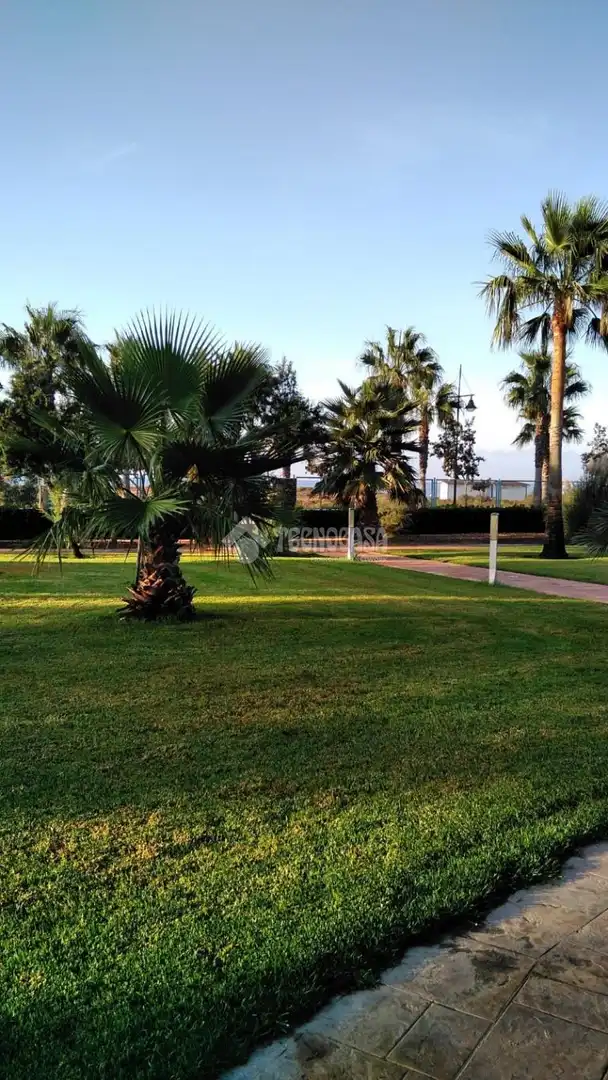 Garten von Wohnung zur Miete in El Ejido