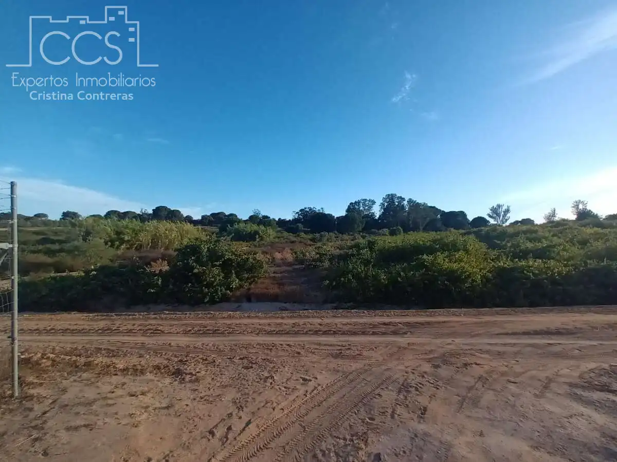 Finca rústica en venda en Bollullos Par del Condado amb Jardí privat i Moblat