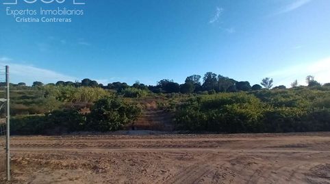 Foto 4 de Finca rústica en venda a Bollullos Par del Condado, Huelva