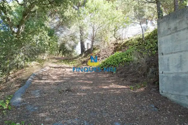Terreno residencial en venta en Carrer Eucaliptus, imagen 23