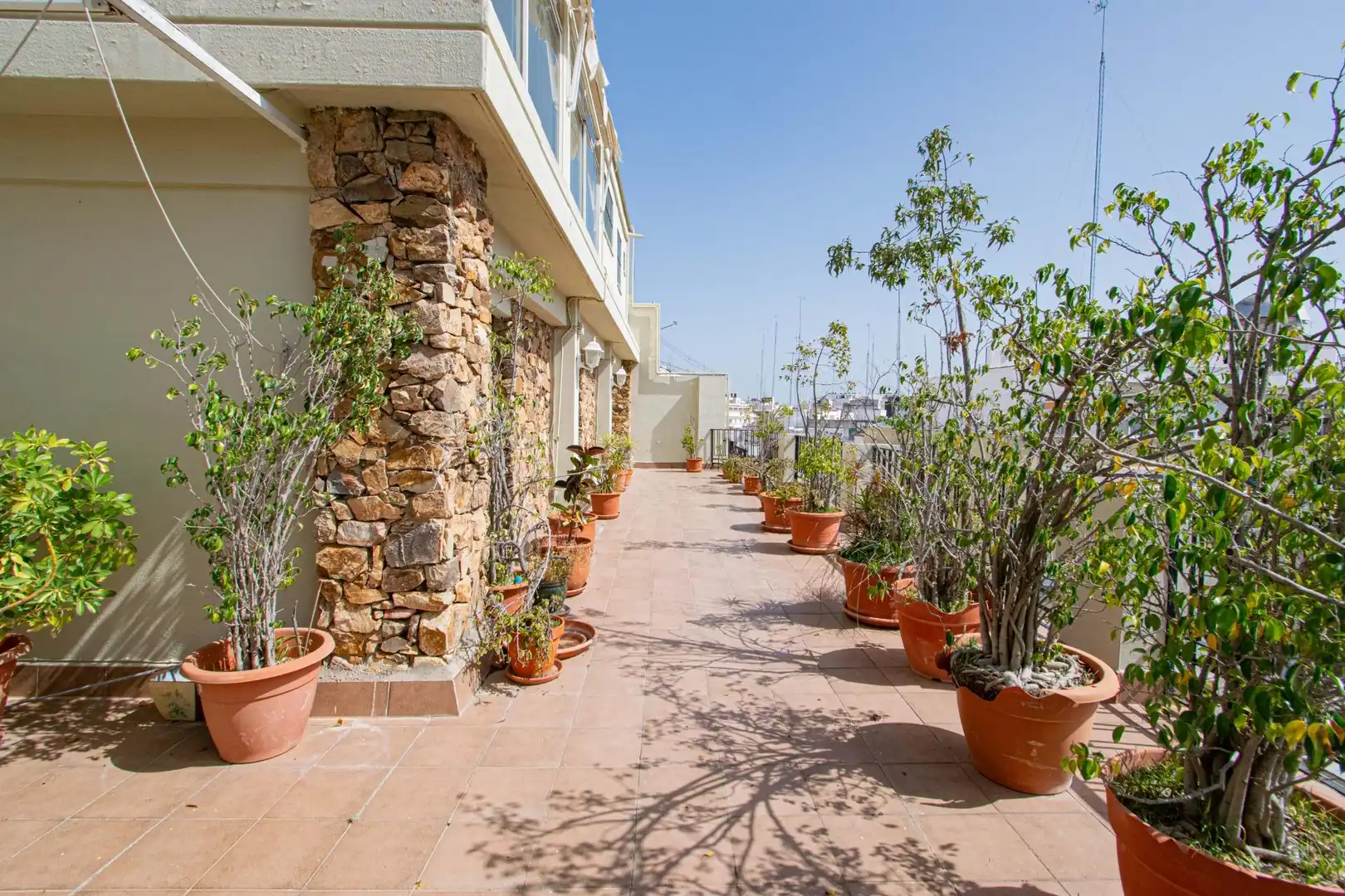 Terrasse von Dachboden zum Verkauf in Sevilla mit Terrasse