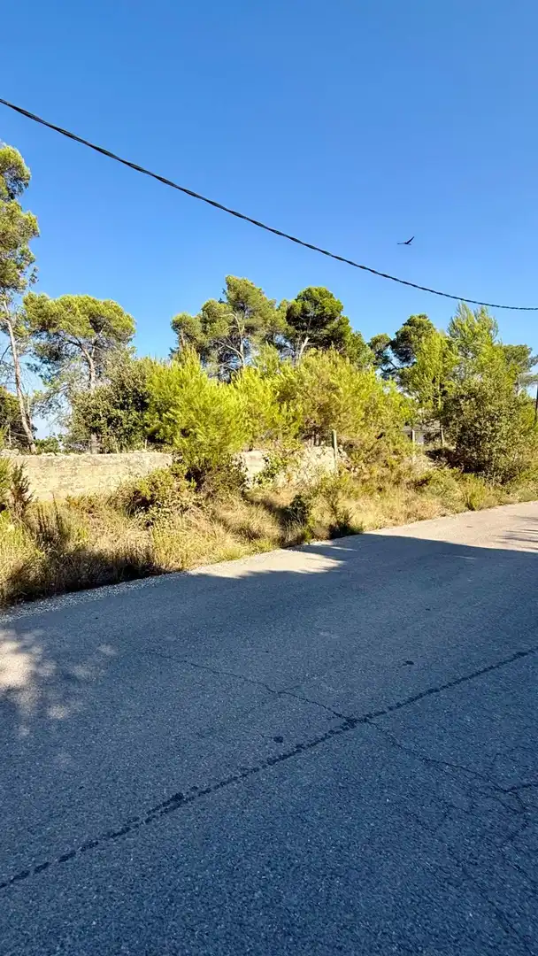 Residential land for sale in Avenida l'Onze de Setembre 22, imagen 12