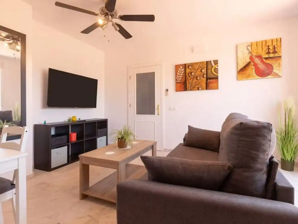 Sala de estar de Dúplex de alquiler en Marbella Centro