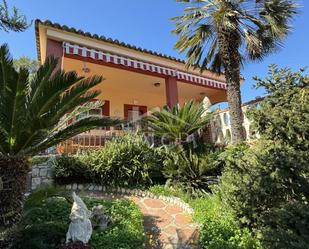 Vista exterior de Finca rústica en venda en Alzira amb Aire condicionat, Jardí privat i Terrassa