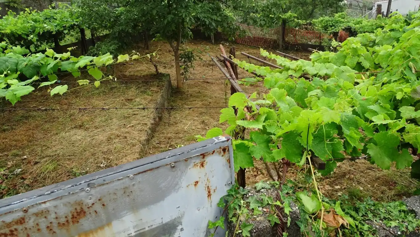 Terrenys i solars en venda a Aldea Fonte Susan 11A, imagen 2