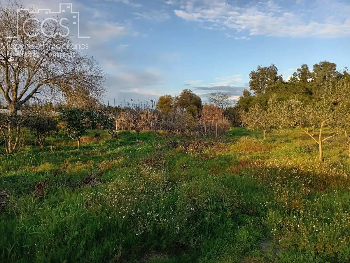 Finca rústica en venda en Almonte