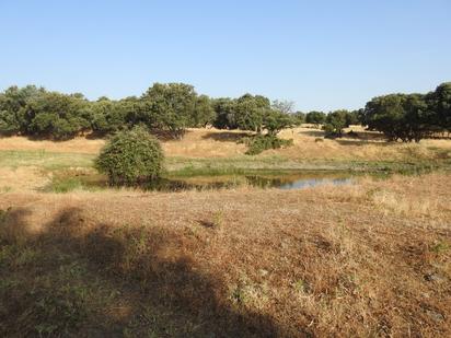 Land for sale in Villar del Pedroso