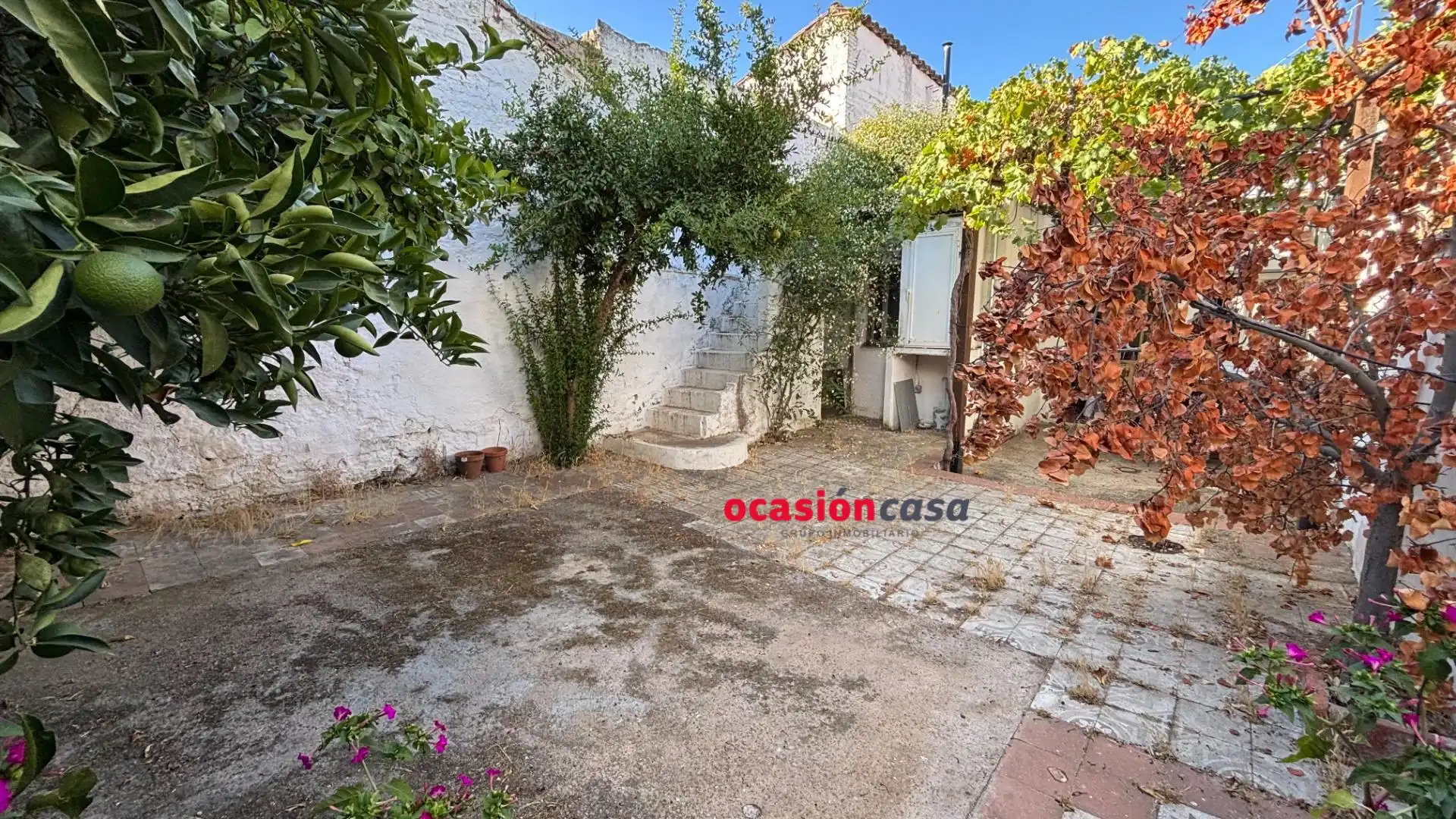 Casa con jardín en venta en Belmez, imagen 6