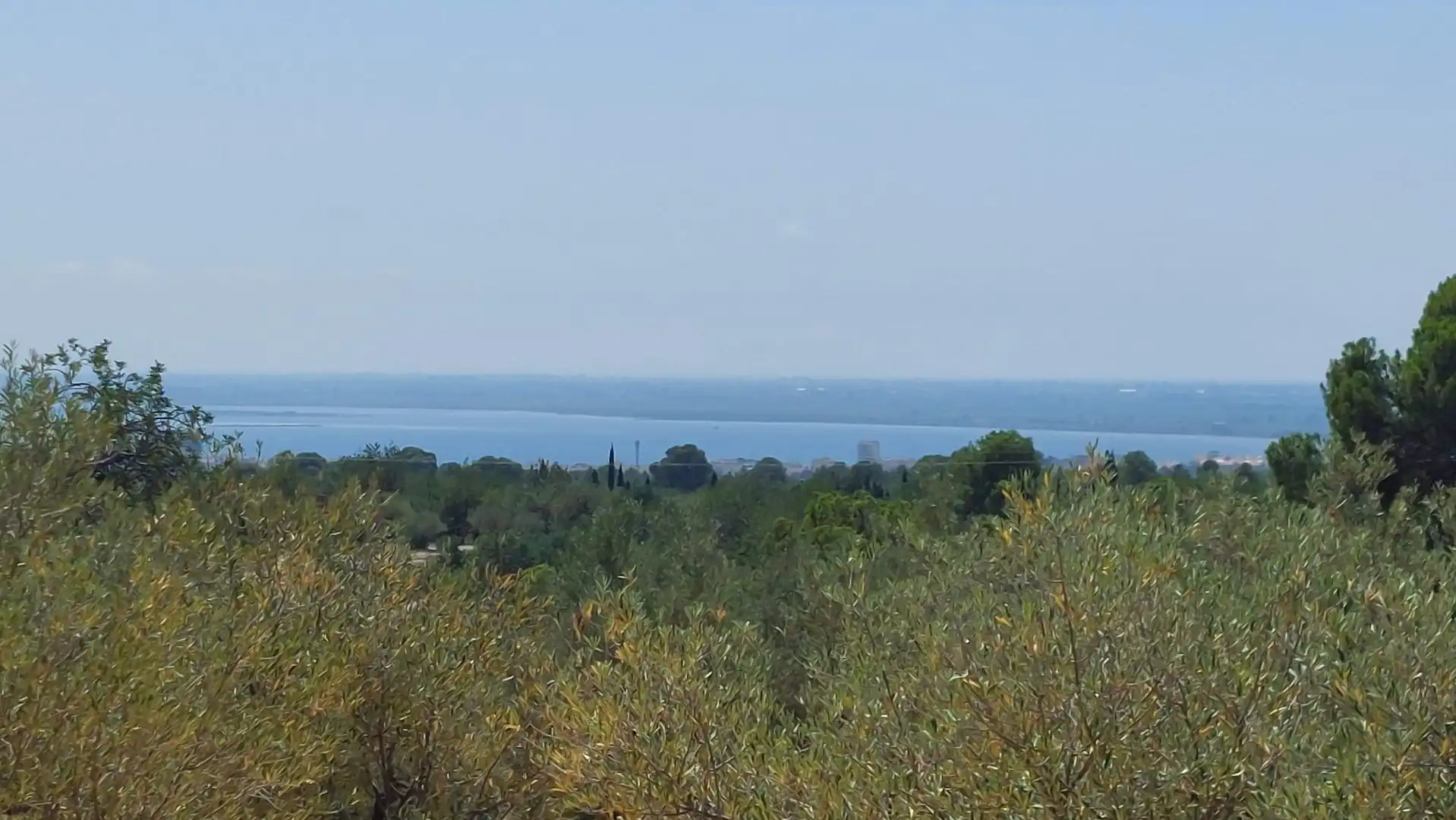 Maison rustique à vendre à L'Ampolla, imagen 26