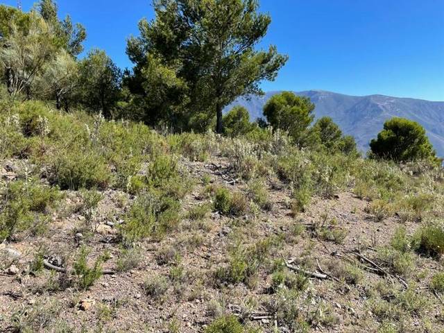 Terreno residencial en Venta en Polígono 3 Parcela en Carataunas