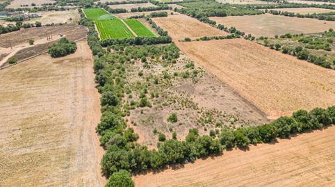 Photo 4 of Residential for sale in Portocolom, Illes Balears