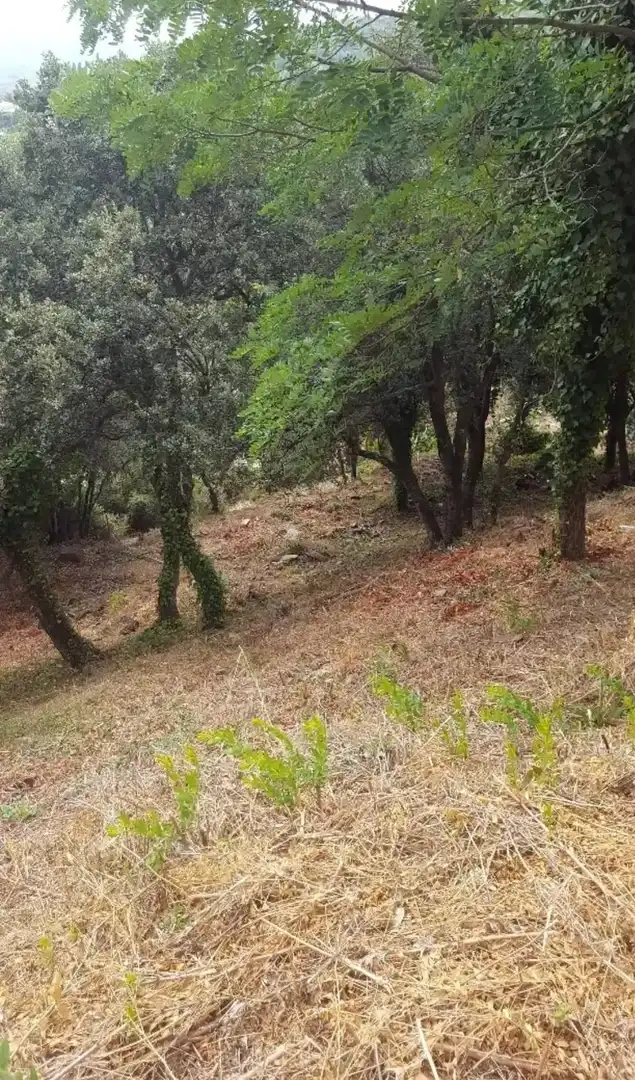 Terreno residencial en venta en Niàgara Parc - Àgora Parc, imagen 9