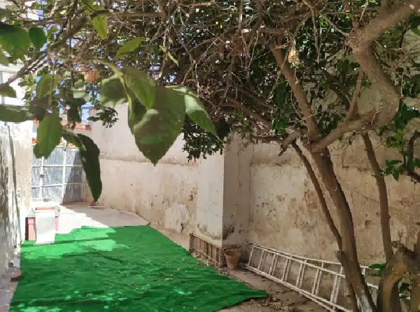 Casa aparellada en venda a Rojales, imagen 9