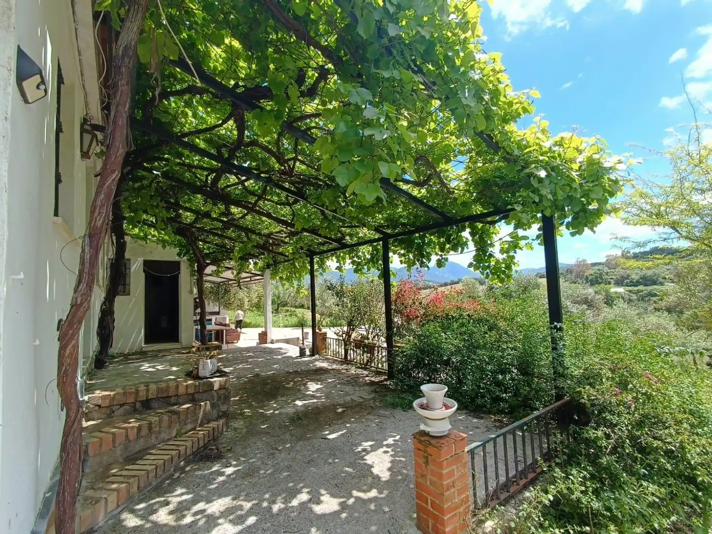 Garden of Residential for sale in Prado del Rey