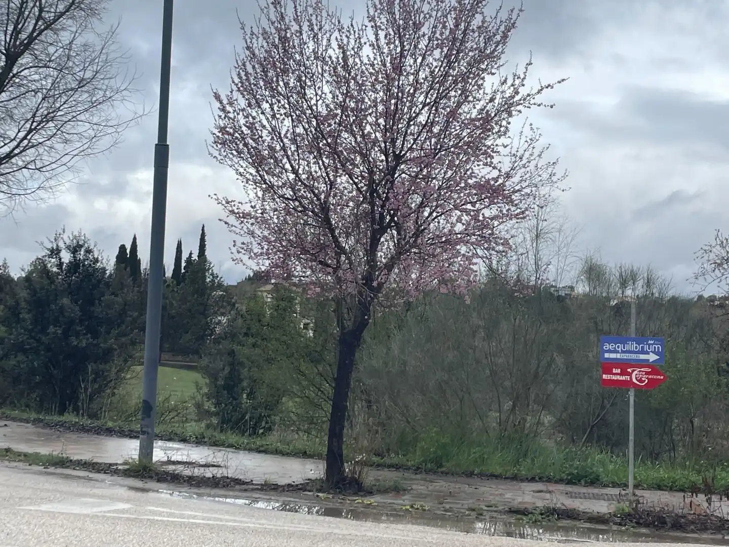 Terreni e lotti in vendita a Atarfe, imagen 18