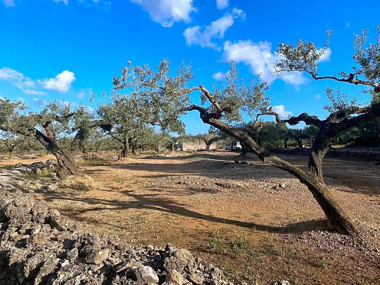 Terreno rustico in vendita a Burgà, imagen 18